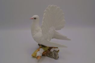 Boehm Porcelain Fan-tailed Dove Sculpture, 1989