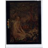 16pc Pinup and Artwork Photo Positives