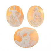 Antique Shell Cameo Panel Collection inc. Hebe, John The Baptiste