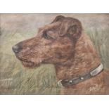 E.A. Head of an Irish Terrier, signed with monogram, with pencil inscription verso 'The Irish