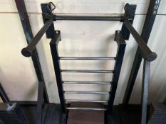 Adjustable Dip Station - No Reserve