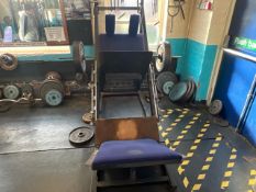 Dual Purpose Hack Squat And Leg Press - No Reserve