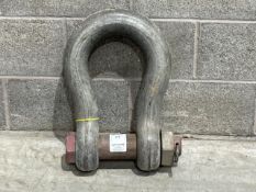 85T Safety Pin Bow Shackle INTH01998