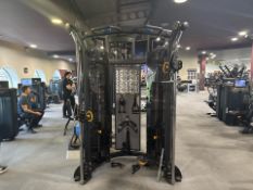 Matrix DAP Functional Trainer