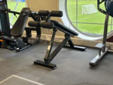 Watson Decline Sit Up Bench