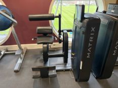 Matrix Pin Loaded Back Extension