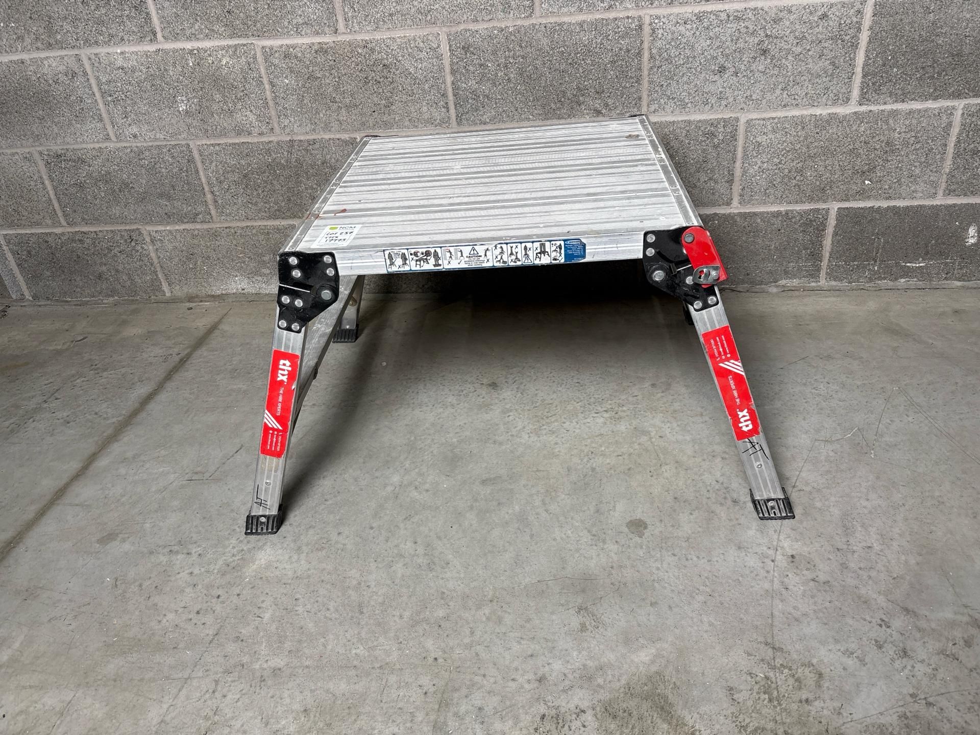 Werner Decorators Step - THX17973 - No Reserve - Image 5 of 6