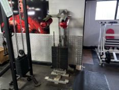 Pin Loaded Calf Raise