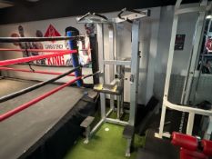 Life Fitness Pin Loaded Assisted Dip/Chin Machine