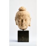 A GANDHARA STUCCO HEAD OF BUDDHA, NORTH-WEST FRONTIER REGION, PAKISTAN, CIRCA 4TH CENTURY