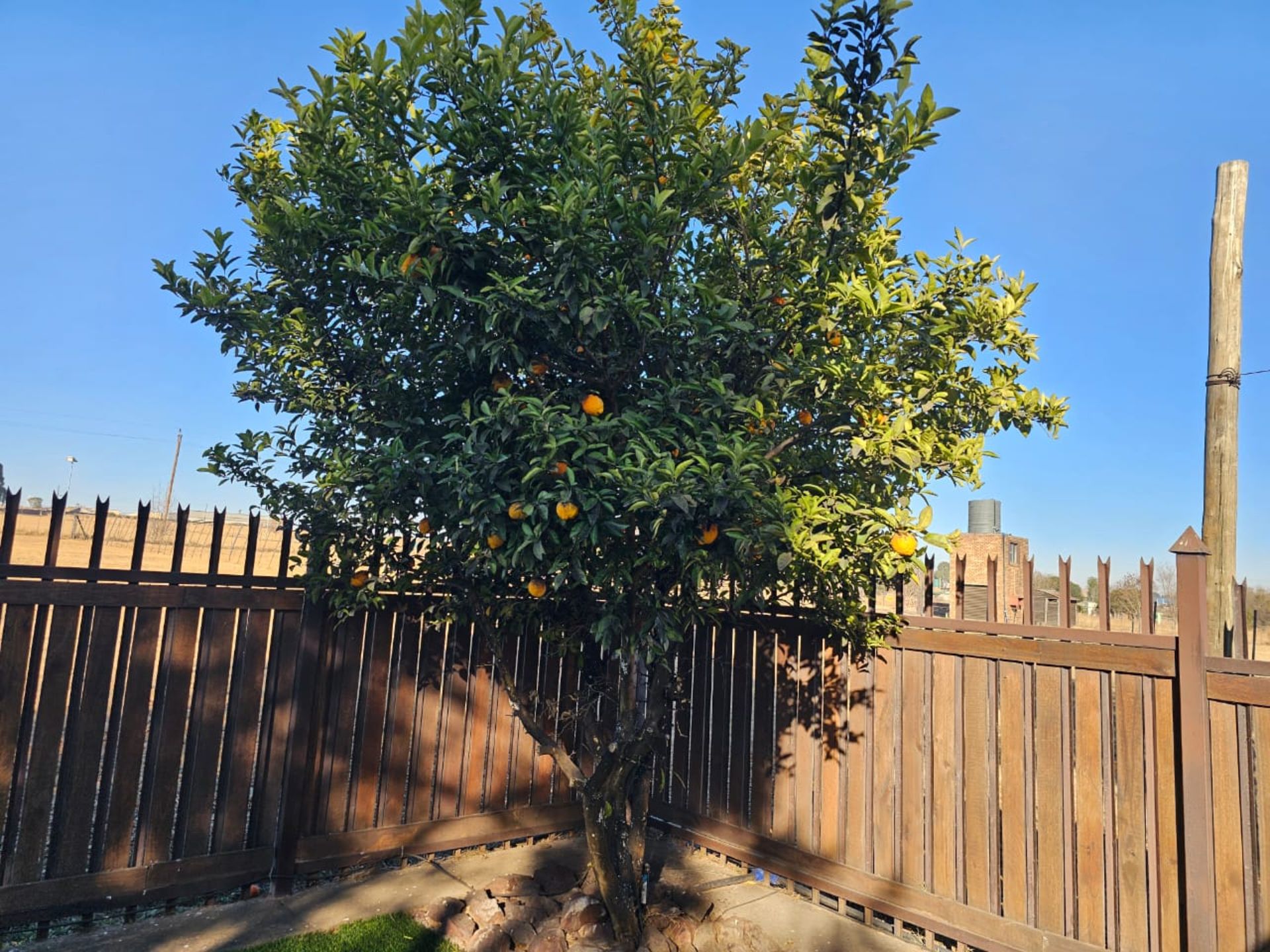 SPACIOUS 1 HECTARE PROPERTY WITH POOL & GUEST HOUSE - EQUIPPED WITH BACKUP SOLAR PLANT & WATER TANKS - Image 38 of 192