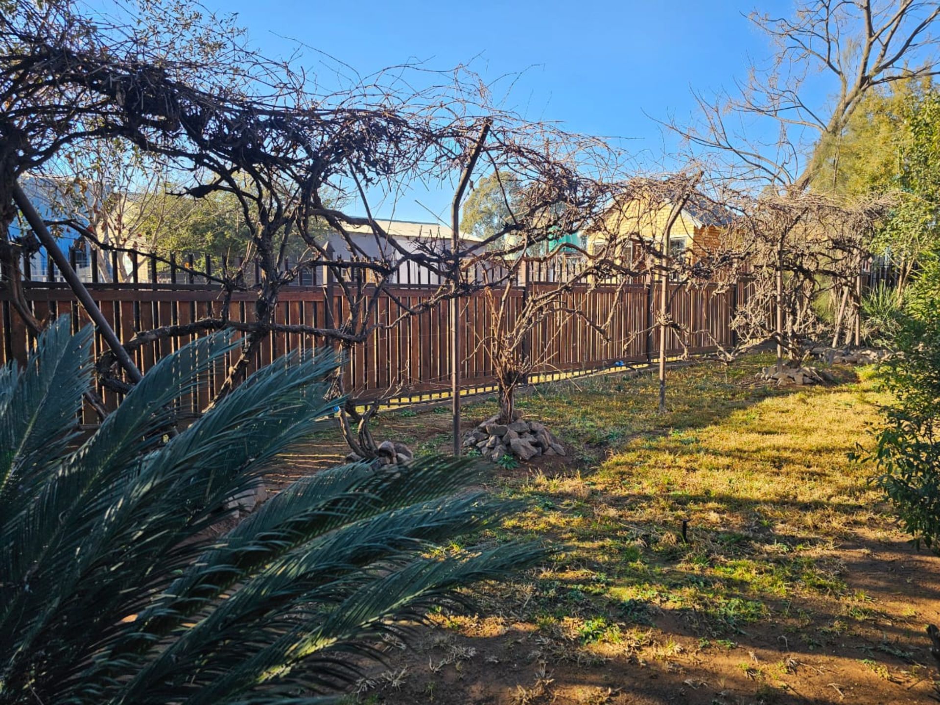 SPACIOUS 1 HECTARE PROPERTY WITH POOL & GUEST HOUSE - EQUIPPED WITH BACKUP SOLAR PLANT & WATER TANKS - Image 11 of 192