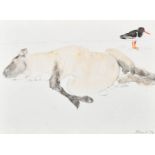 Elisabeth Frink (1930-1993) British. Sheep and Oyster Catcher, Watercolour and pencil, Signed and