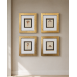 A Set of Four Framed Art Nouveau Jewellery Design Prints after René Lalique (1860–1945) A cohesive