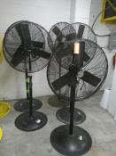 5 Black Floor Fans