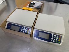 Price Computing Scales