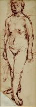 Cynthia Pell (1933-1977) ink study of a standing female nude, pencil signed, 55cm x 19cm, glazed fra