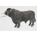 ‡ SIR KYFFIN WILLIAMS RA (Welsh 1918-2006) lithograph - Welsh Black Bull, 40 x 60cms Provenance: