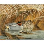 ‡ CHARLES FREDERICK TUNNICLIFFE OBE RA (English, lived / worked Wales 1901-1979) watercolour -