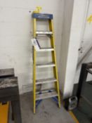 Werner Five Rise Stepladder Please read the following important notes:- ***Overseas buyers - All