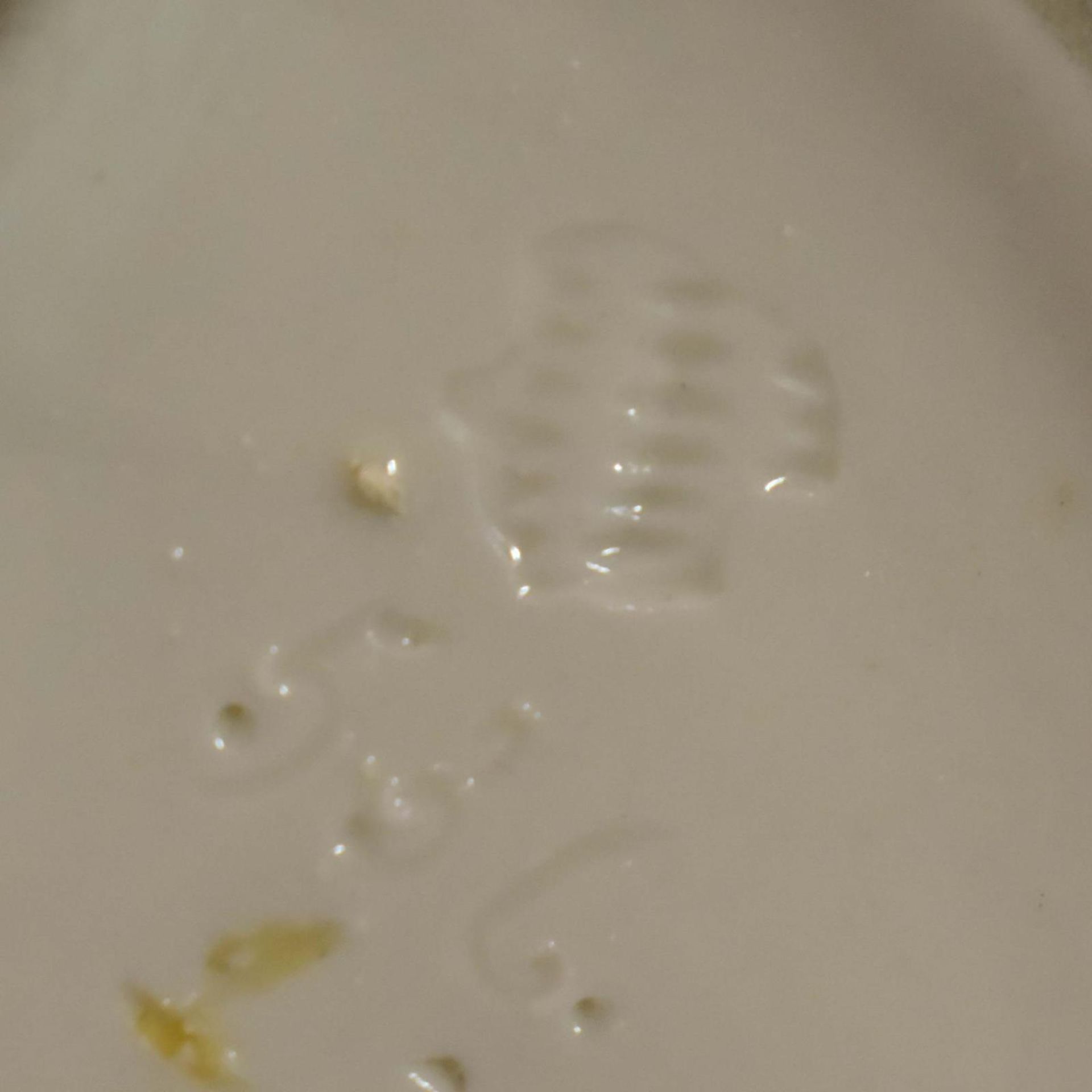 Falkner. Nymphenburg, nach Entwurf von T. Kärner | Porzellan, Farb- und Goldstaffage. - Bild 3 aus 3