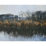 TIMNER, CARL. Schilf am Schwielowsee. Öl/Leinwand.