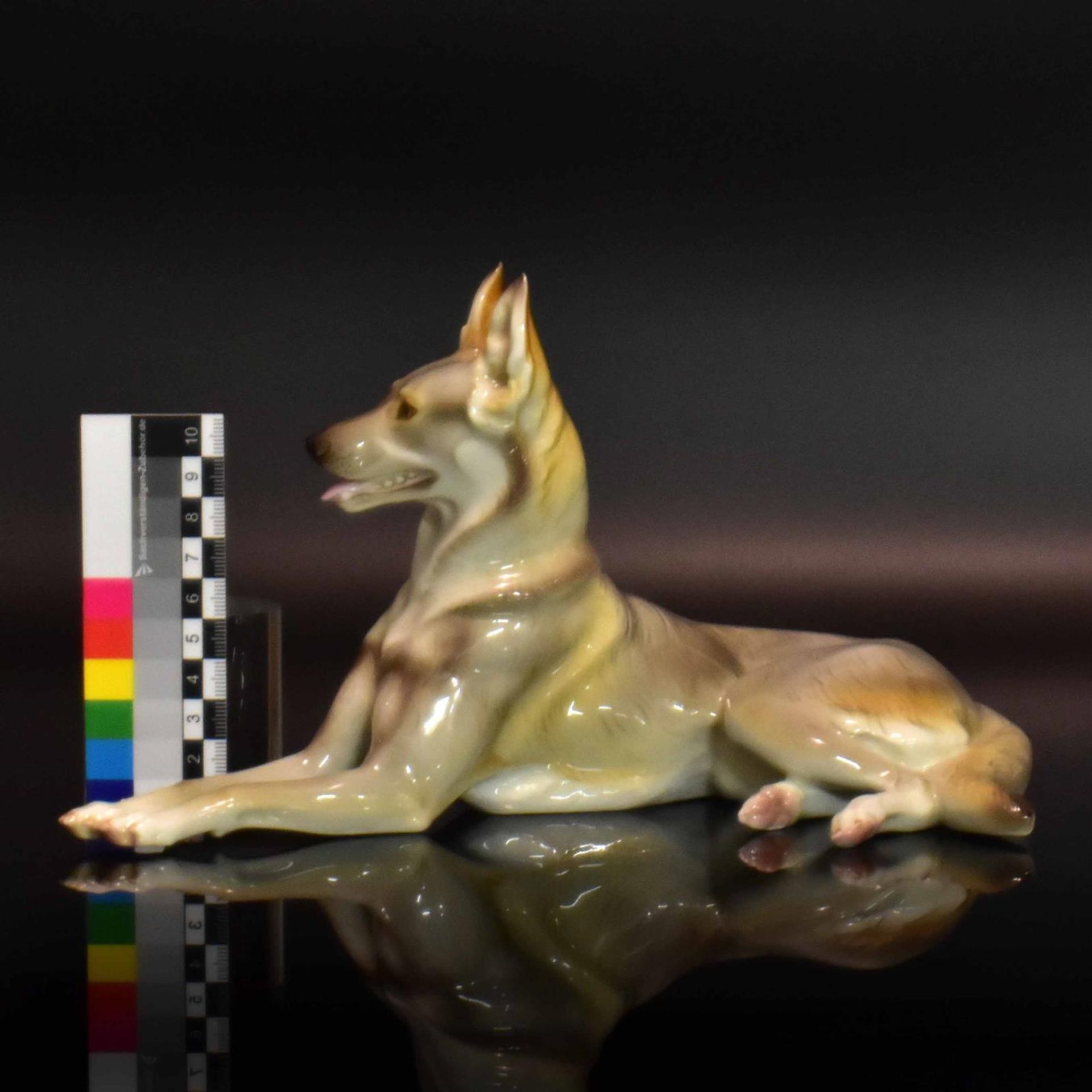 Deutscher Schäferhund. Nymphenburg, nach Entwurf von T. Kärner | Porzellan, Unterglasurstaffage. - Bild 2 aus 3