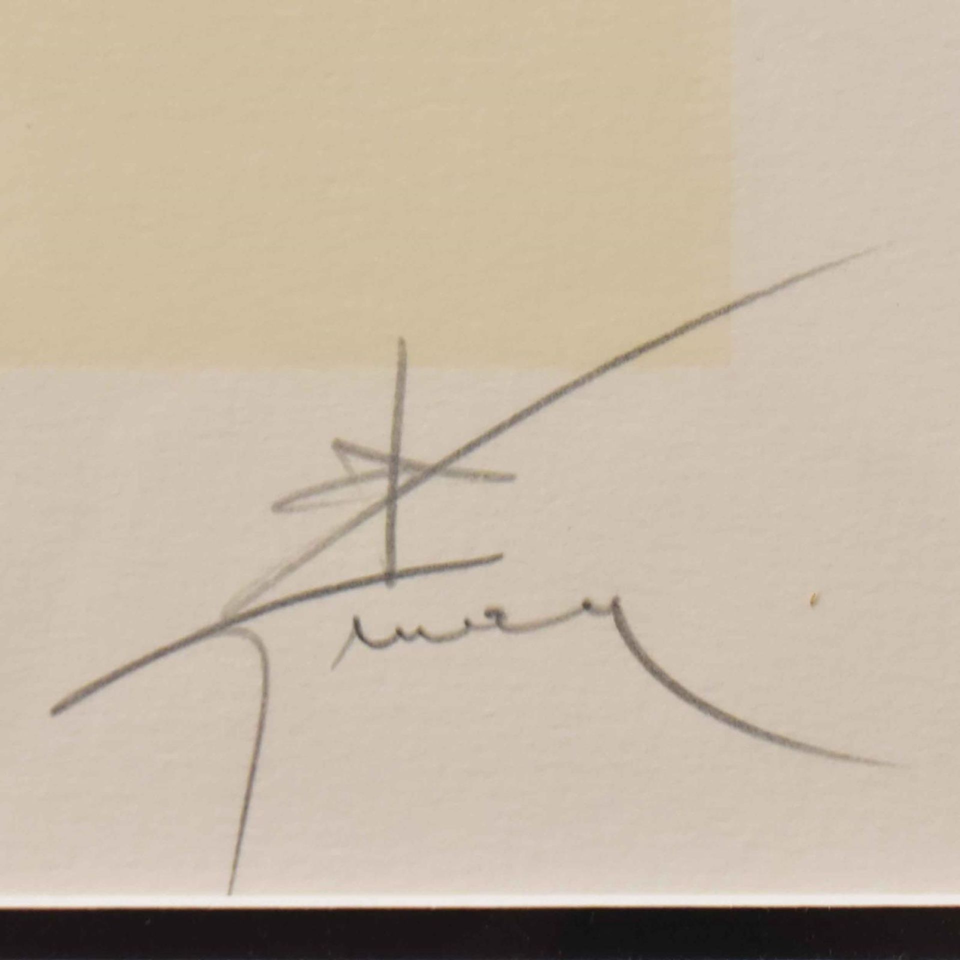 GRUAU, RENÉ. Frau in Schwarz. Farblithographie. - Bild 2 aus 2