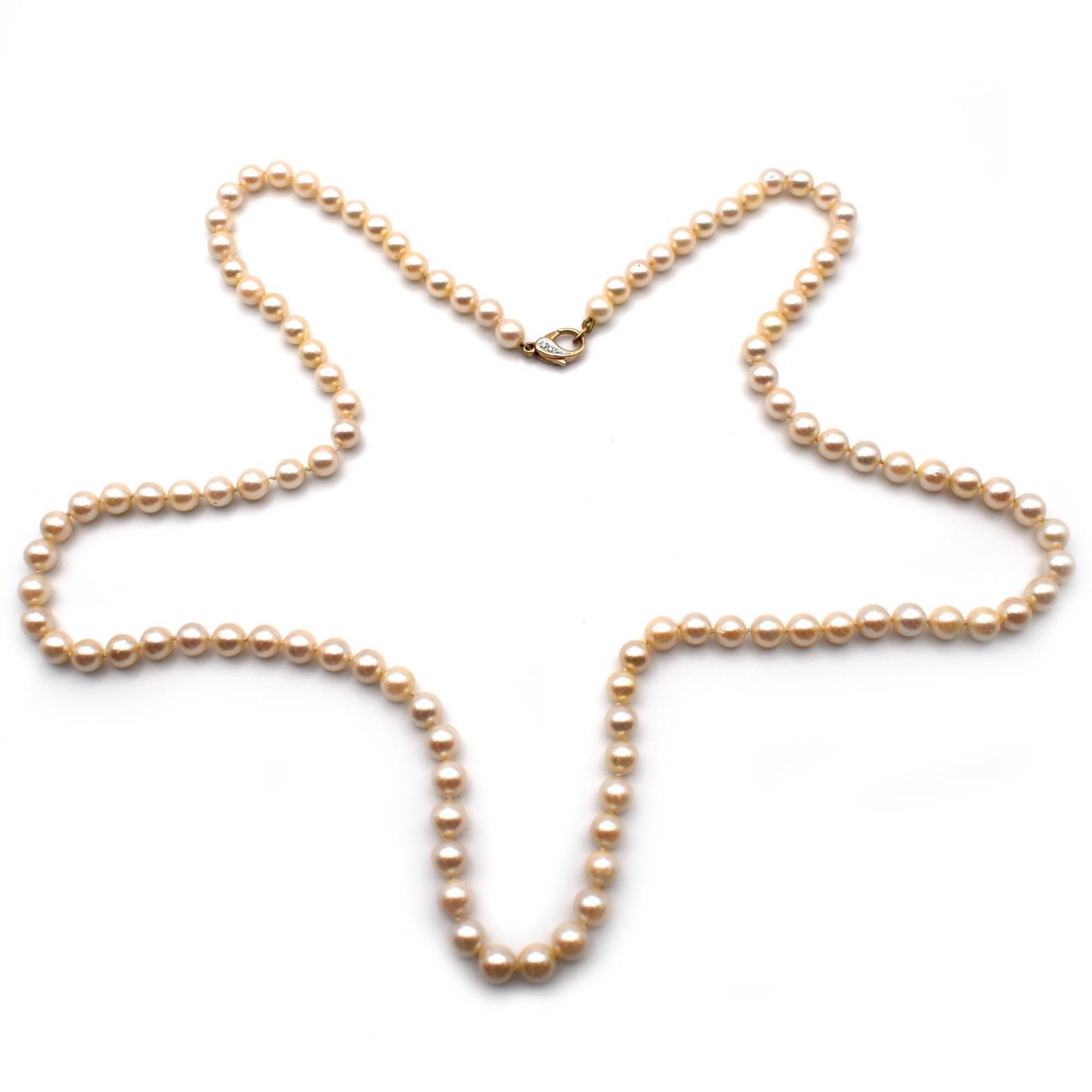 Lange Kette. Schließe 14 K GG/WG