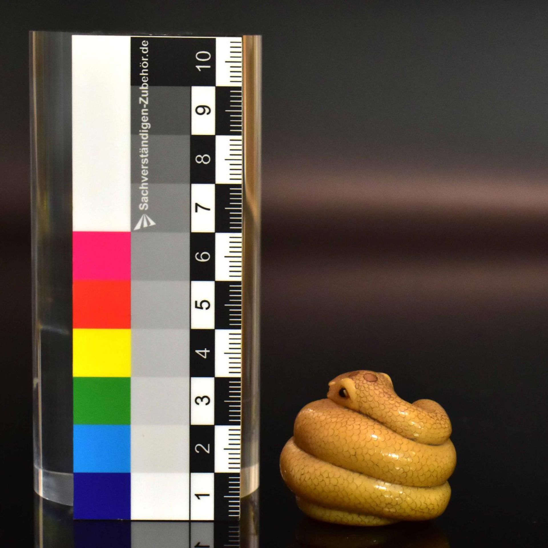 Netsuke: Schlange. Japan, 19./20. Jh. | Steinnuss (Tagua) (?), geschnitzt. - Bild 3 aus 4