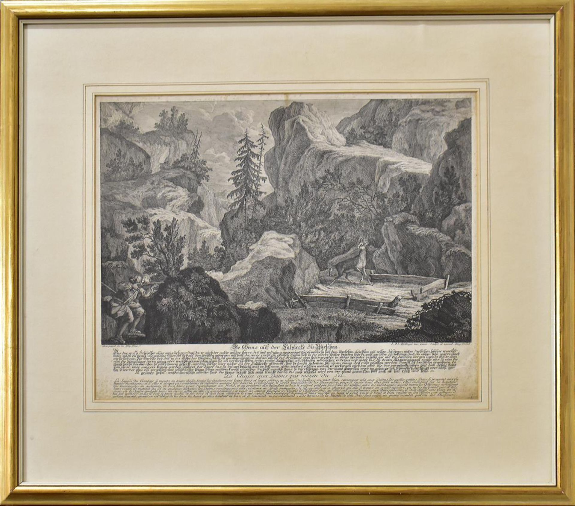 RIDIGNER, JOHANN ELIAS. Die Gems auf der Salzlecke zu München. Radierung.