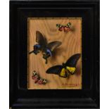 HOLZWEISSIG, ERNST. Vier Schmetterlinge. Öl/Holz.