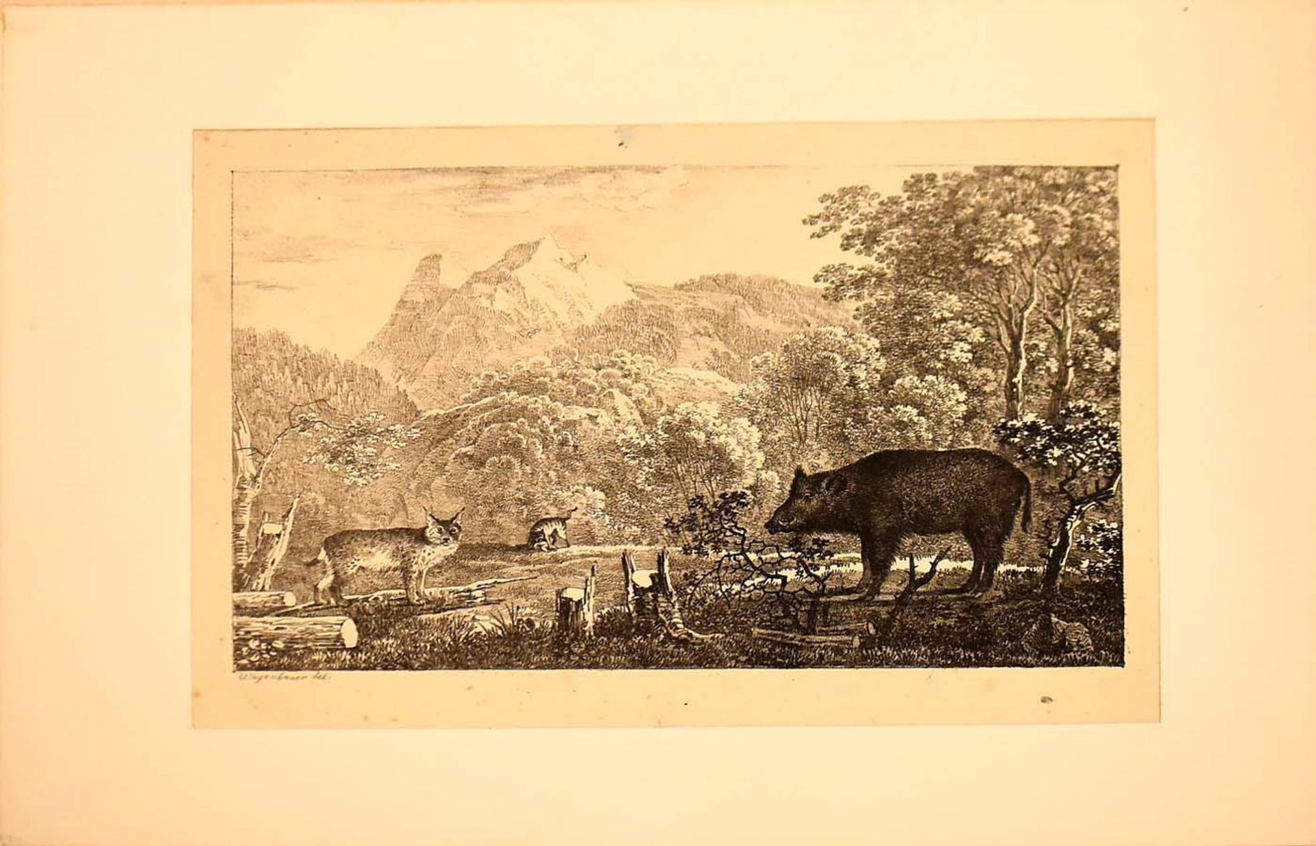 WAGENBAUER, MAX JOSEPH. Landschaften und Tierdarstellungen. Sechs Lithographien, tlw. koloriert. - Bild 3 aus 12