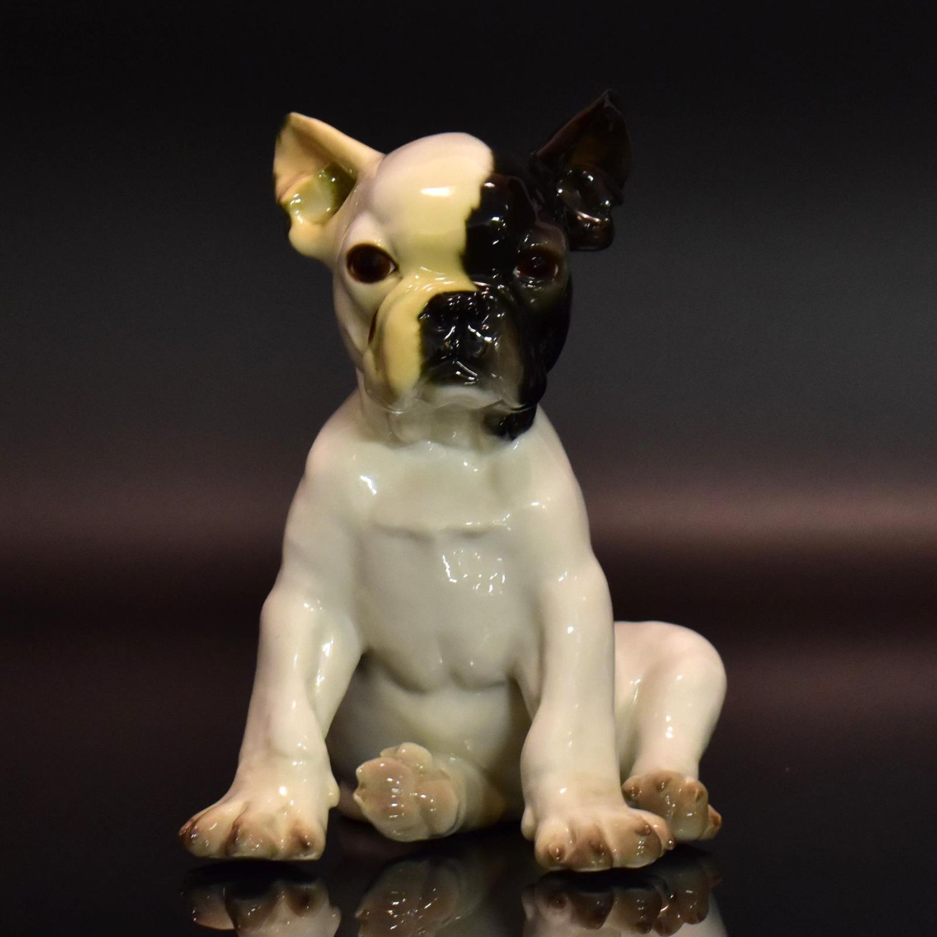 Sitzende Bulldogge. Nymphenburg, nach Entwurf von K. Schmid | Porzellan, Unterglasurstaffage.