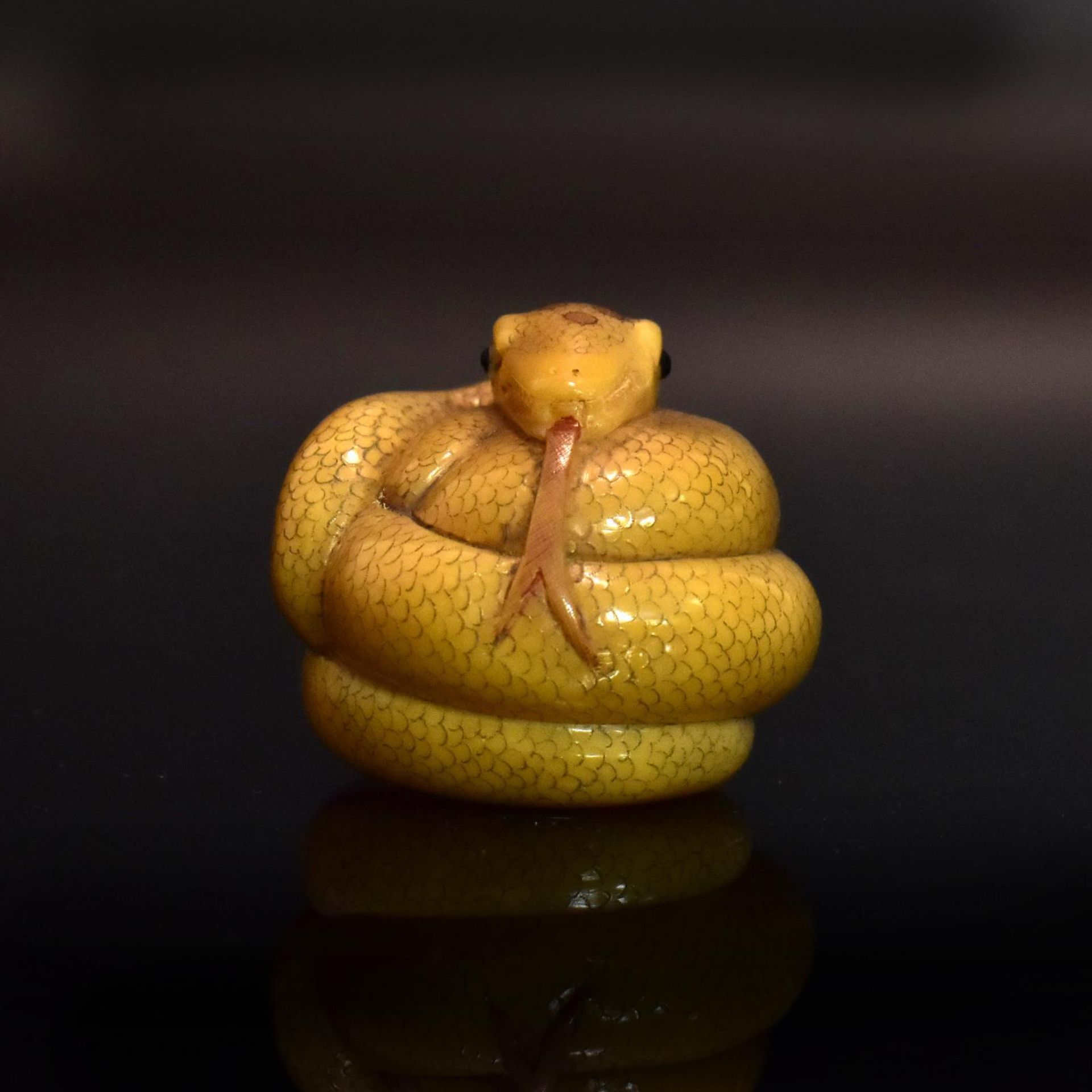 Netsuke: Schlange. Japan, 19./20. Jh. | Steinnuss (Tagua) (?), geschnitzt.