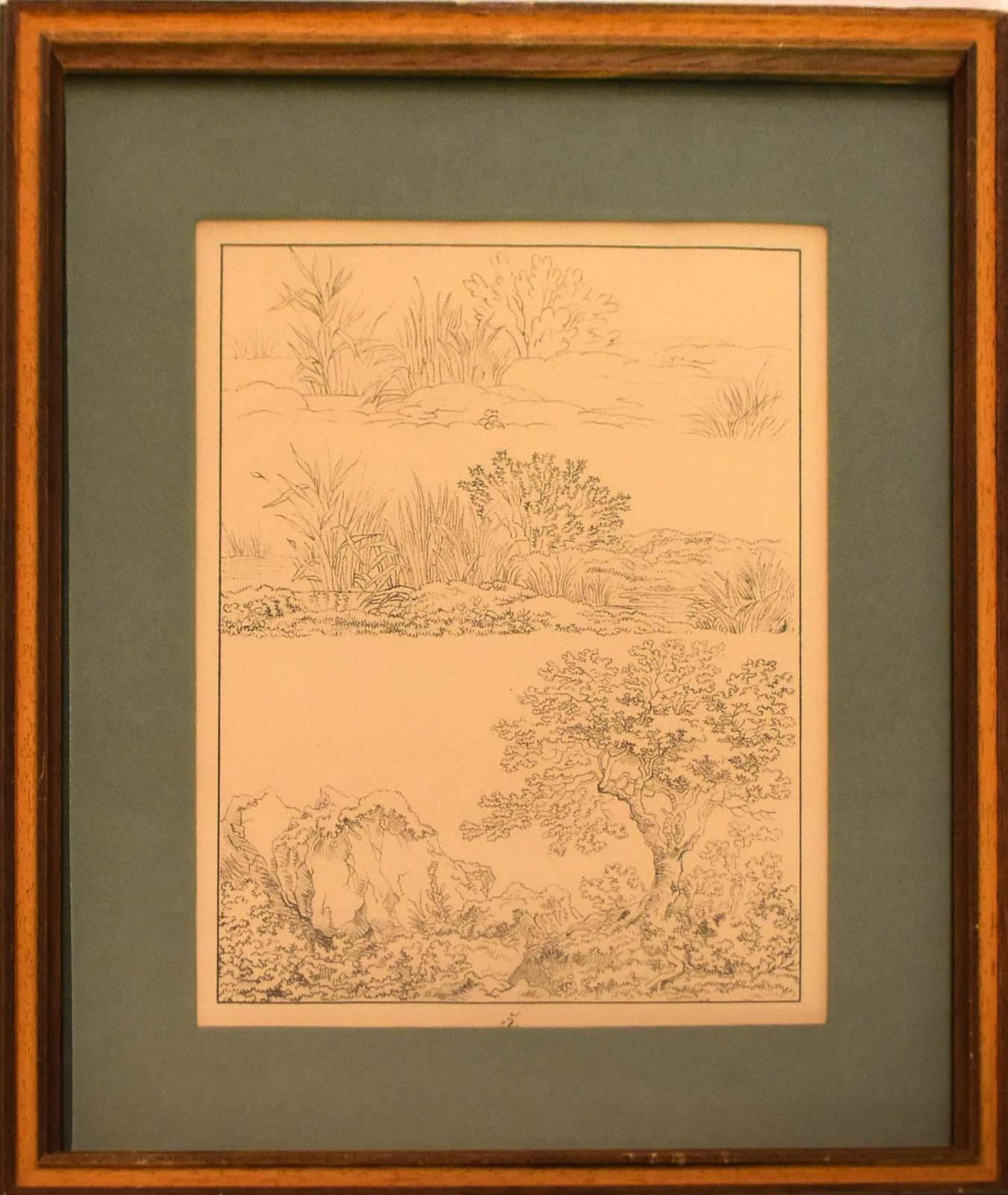 WAGENBAUER, MAX JOSEPH (WOHL). Baumstudien. Sieben Lithographien. - Bild 11 aus 14