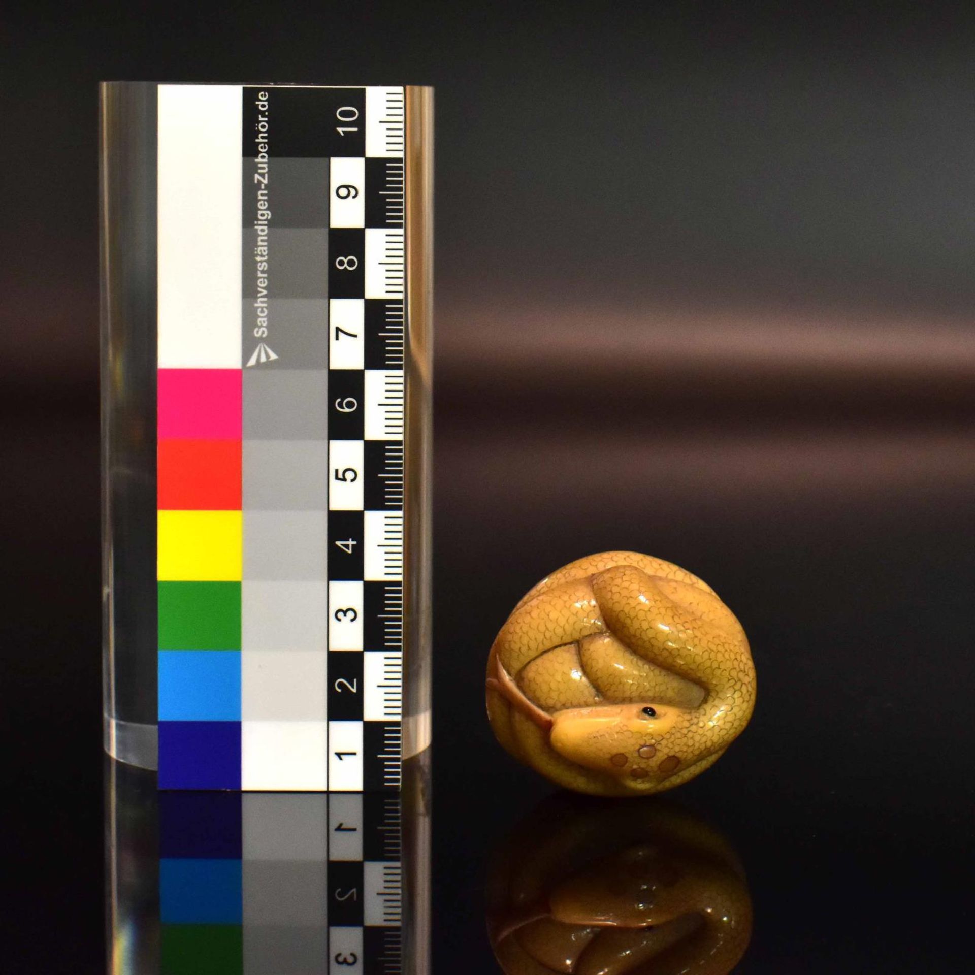 Netsuke: Schlange. Japan, 19./20. Jh. | Steinnuss (Tagua) (?), geschnitzt. - Bild 4 aus 4