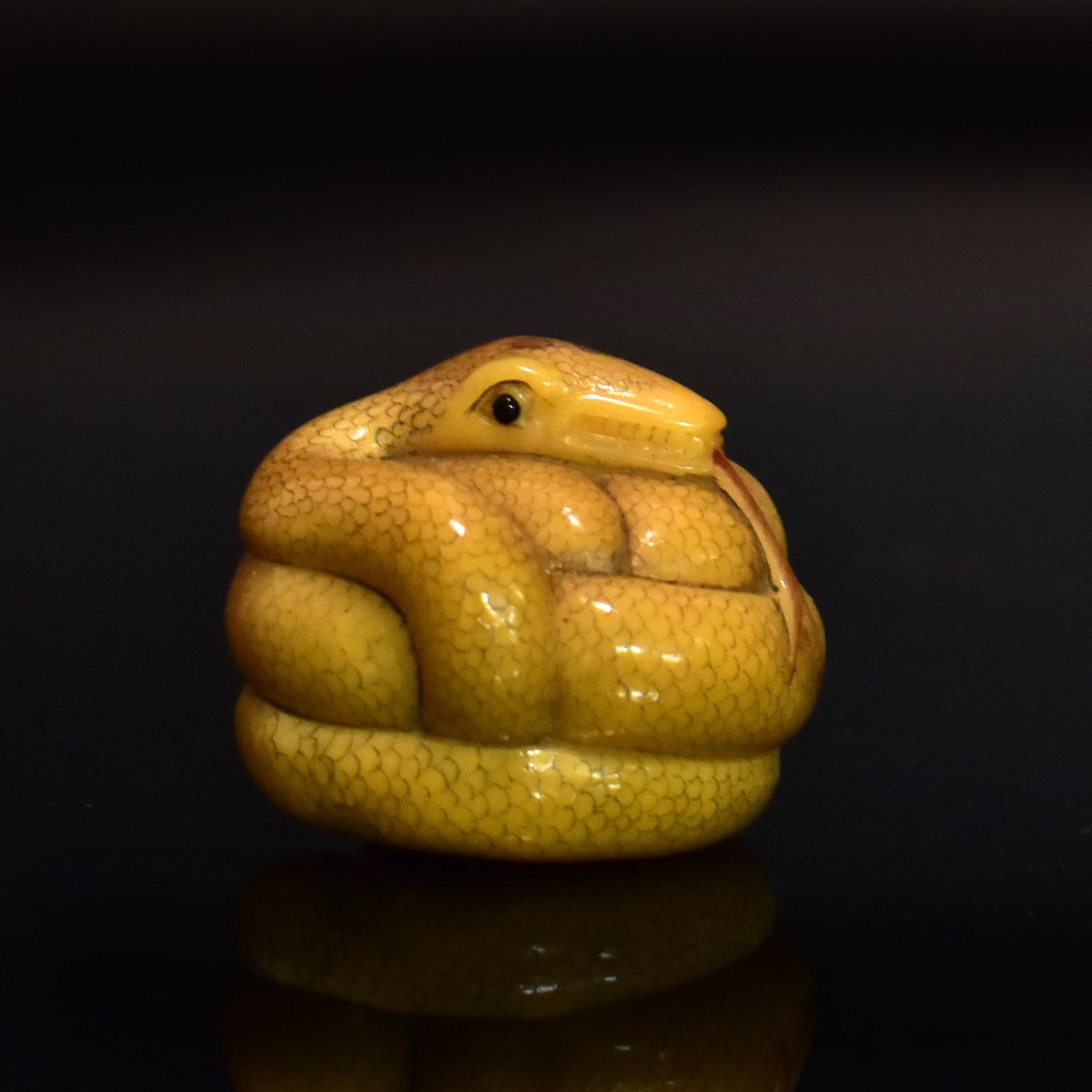 Netsuke: Schlange. Japan, 19./20. Jh. | Steinnuss (Tagua) (?), geschnitzt. - Bild 2 aus 4