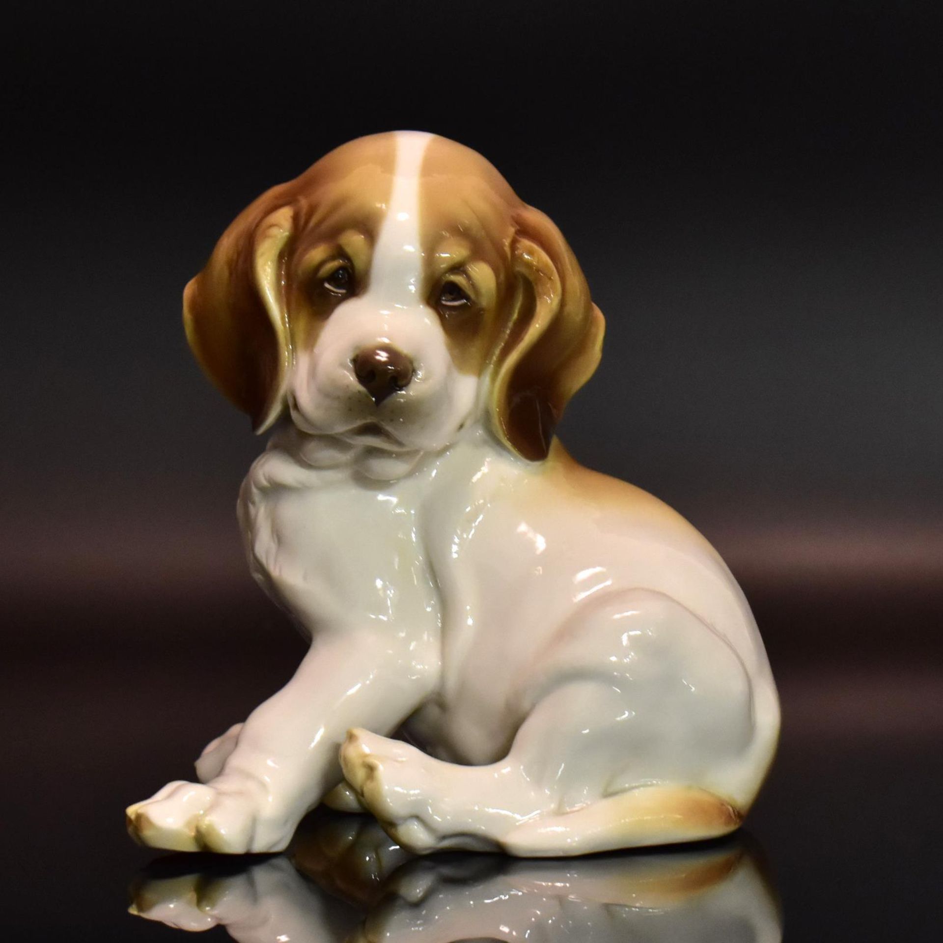 Junger Bernhardiner. Nymphenburg, nach Entwurf von T. Kärner | Porzellan, Unterglasurstaffage.