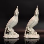 Zwei Kakadus. Ludwigsburg, 20. Jh. | Porzellan, weiß.