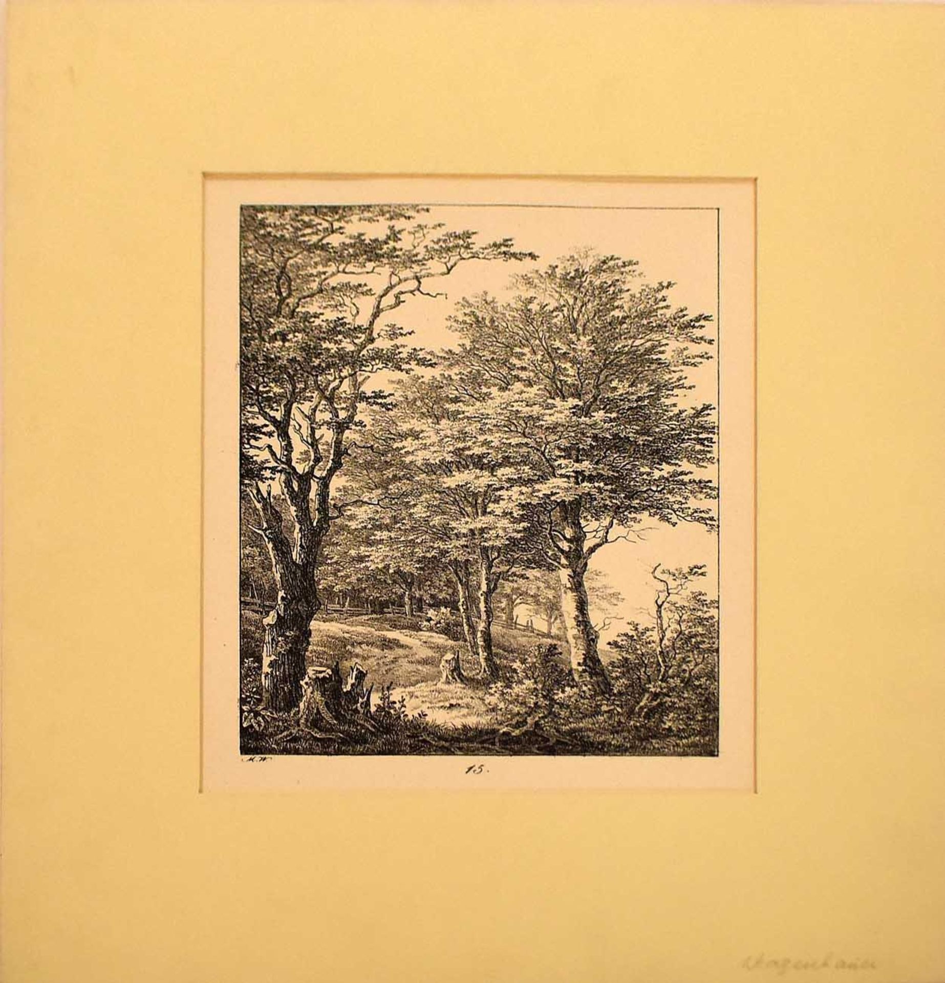 WAGENBAUER, MAX JOSEPH. Landschaften und Tierdarstellungen. Sechs Lithographien, tlw. koloriert. - Bild 12 aus 12