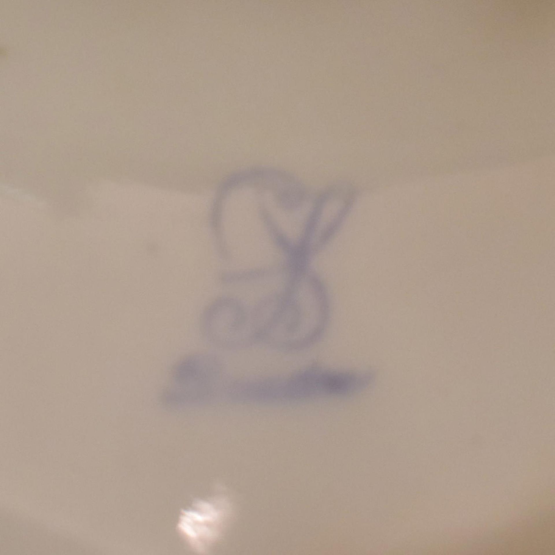 Potpourrivase. Carl Thieme, Potschappel | Porzellan, Farb- und Goldstaffage. - Bild 3 aus 3