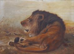 George MAJEWICZ (1897 - 1973). Liegender Löwe.