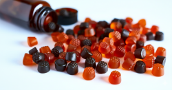 Surplus Nutraceutical Processing Equipment Auction