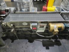 60" L X 28" W BMI Plastic Belt Modular Conveyor