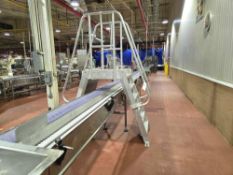 Cotterman Stainless Steel Walkover Bridge Mezzanine
