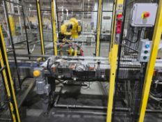 Fanuc Robotics M-10iA Robotic Palletizer with Infeed and Outfeed Conveyor