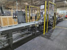 Fanuc Robotics M-10iA Robotic Palletizer with Infeed and Outfeed Conveyor