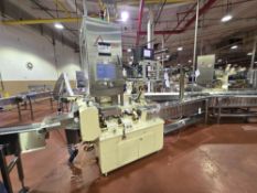 ILAPAK 2-Up Eagle Flow Wrapper