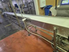 328" L X 15" W BMI Plastic Modular Belt Conveyor